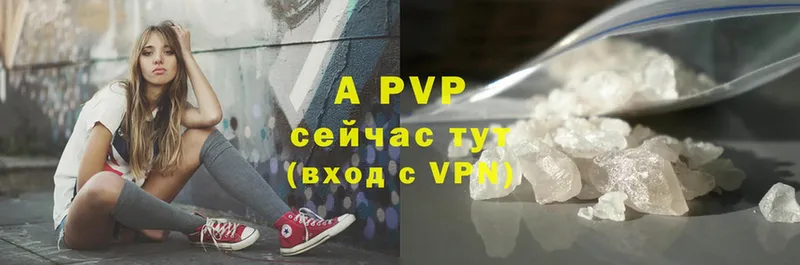 цены   Кириши  A PVP СК 