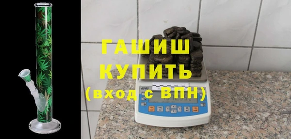 индика Бородино